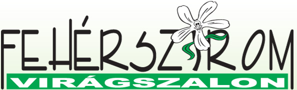 virág házhozszállítás szolnok
